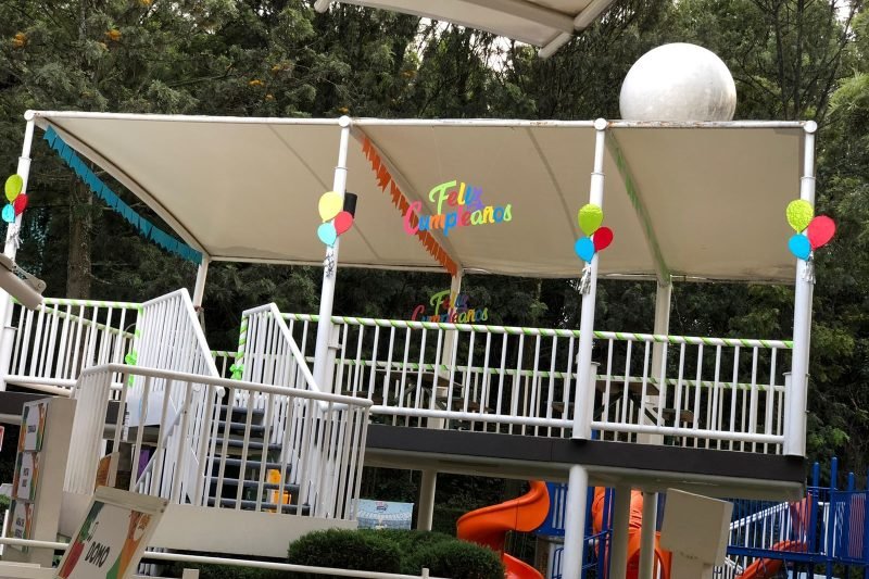 salon-aviario-4